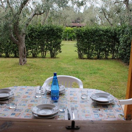 Agriturismo Lu Podere 알리미니 외부 사진