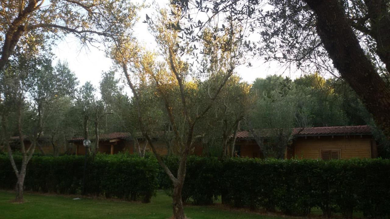 Agriturismo Lu Podere 알리미니 외부 사진