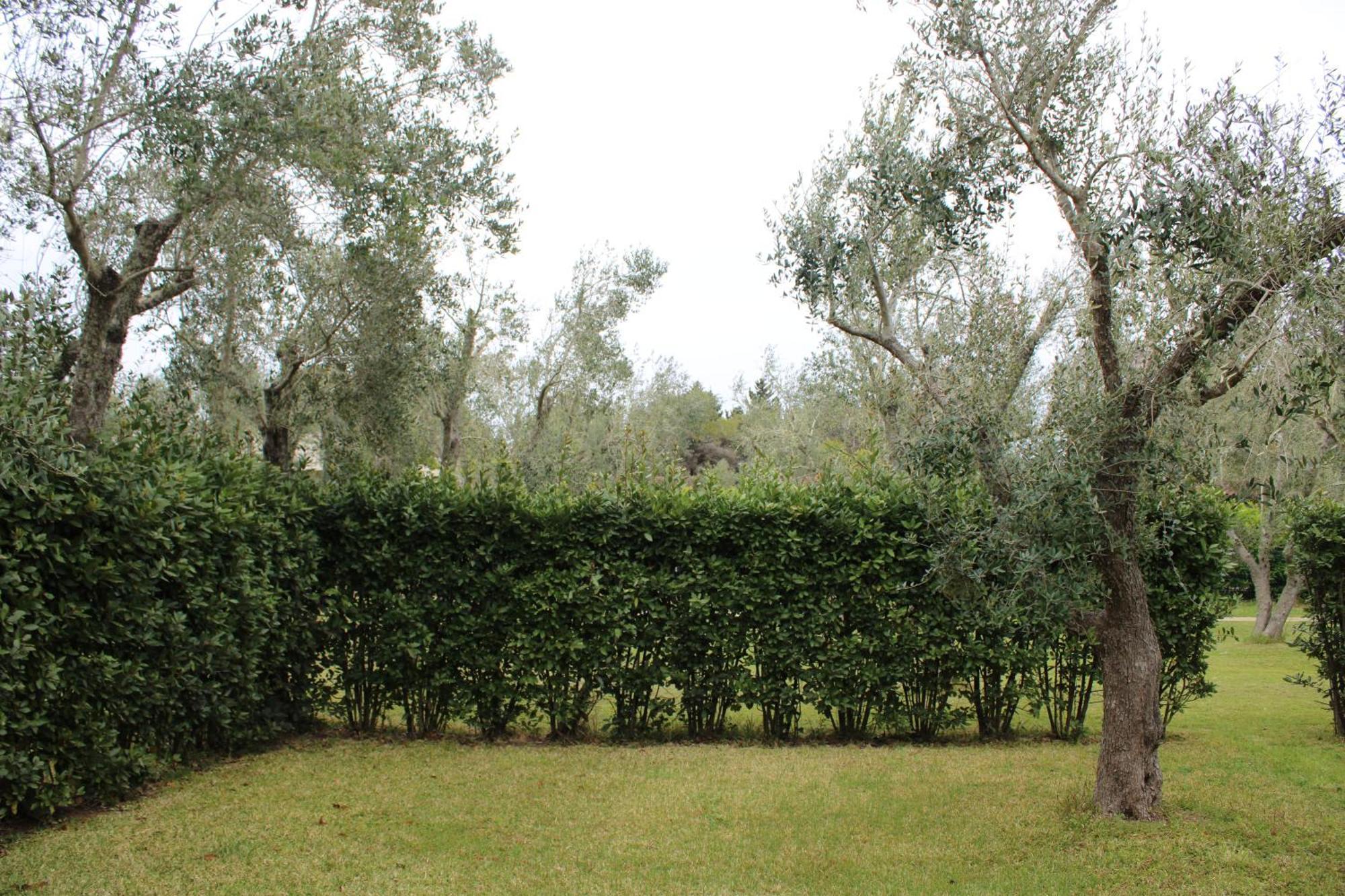 Agriturismo Lu Podere 알리미니 외부 사진
